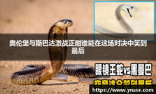 yy易游体育app